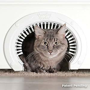 Interior Cat Door
