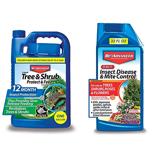 BioAdvanced 701615A Gal Tree and Shrub Control, 1 Gallon, Concentrate