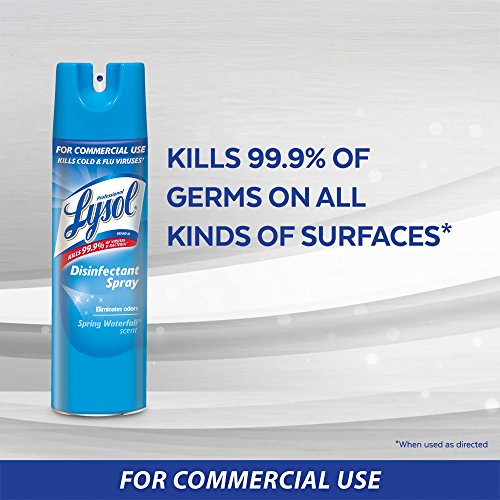 Professional Lysol Disinfectant Spray, Original Scent, 19oz Pricepulse