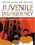 Juvenile Delinquency : Theory, Practice and Law, Siegel, Larry J. and Welsh, Brandon C., 0534645666