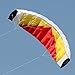 HENGDA KITE 2m Dual Line Stunt Parafoil Kites with Flying Tool