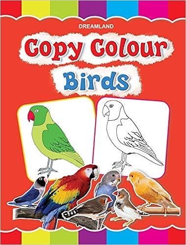 920+ Colouring Book Birds Picture HD