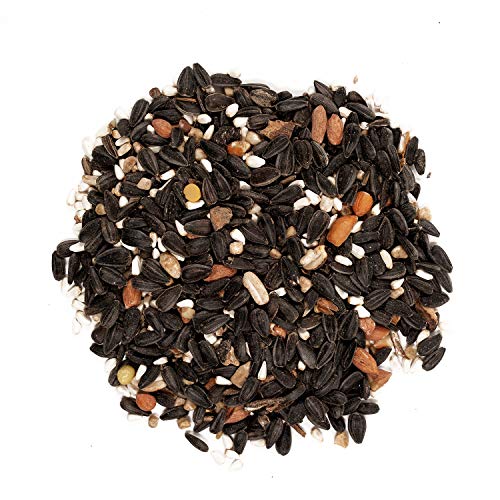Wagner's 82042 Songbird Banquet Bird Food, 5-Pound Bag - Thumbnail 2