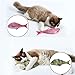 Qiekenao 2 Piece 2017 Catnip Toys Simulation Plush Snapper Fish Shape Doll Interactive Pets, Salmon and Red
