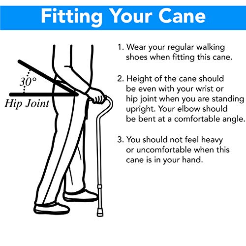 Carex Round Handle Walnut Finish Wood Cane Walking Cane with Rubber