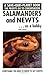 Salamanders & Newts As a Hobby (Save Our Planet) by 