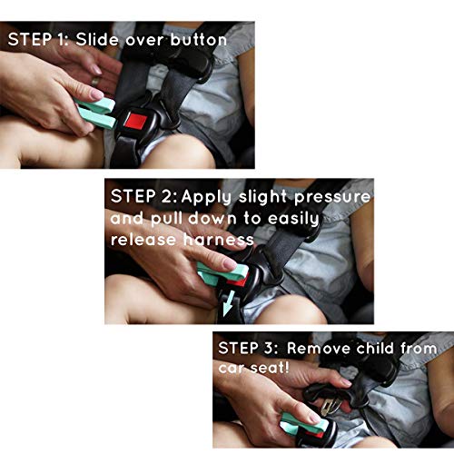 3 Unbuckle+Keychain+Release+Grandparents+Children