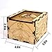 Wood Dice Case DIY Puzzle Storage Box Carved with Dragon & D20 Perfect for RPG, DND, Board or Card Games