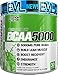 EVL BCAAs Amino Acids Powder - BCAA Powder Post Workout Recovery Drink and Stim Free Pre Workout Energy Drink Powder - 5g Branched Chain Amino Acids Supplement for Men - Lemon Lime