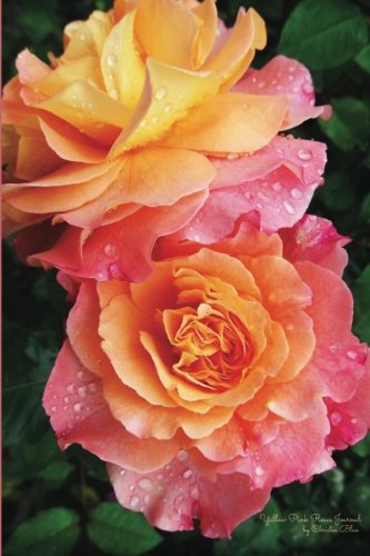 Yellow Pink Roses Journal: (Blank Book, Notebook, Diary)