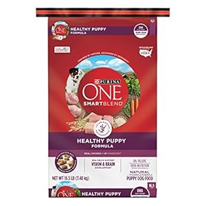 Purina ONE SmartBlend Natural Puppy Dog Food