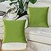 CaliTime Pack of 2 Cozy Throw Pillow Covers Cases for Couch Sofa Bed Solid Ultra Soft Gorgeous Velvety Faux Cashmere 18 X 18 Inches Olive Green