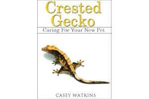Crested Gecko: Caring For Your New Pet (Reptile Care Guides)