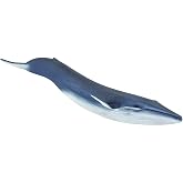 Safari Ltd. Blue Whale Toy - 11 Inch Realistic Sea Life Figure for Kids | Nearly 11 Inches Long, Ages 3+, Safety Tested, BPA Free PVC, Ocean Play, School Projects, Dioramas