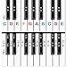 Piano Stickers for all Keys - Durable Double Layer Coated / Removable 49 / 61 / 76 / 88 Keyboards and Pianos - White and Black Keys / Adults or Kids - Bonus Printable Beginners Music eBook