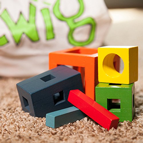 Fat brain toys twig modern building blocks