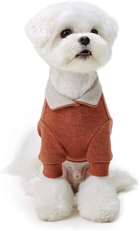 amazon dog apparel