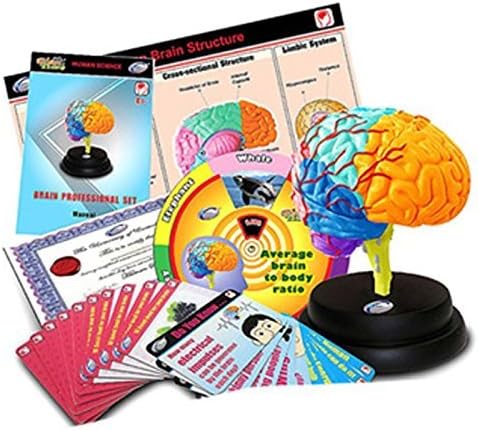Eastcolight 29961 Brain Professional Set by Eastcolight