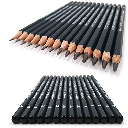 Sketching Pencil Set, DDream 14 Pcs Drawing Pencil Sketch Pencils Set for Artists Adults Children Include 12B 10B 8B 7B 6B 5B 4B 3B 2B B HB 2H 4H 6H Graphite Professional Sketch Pencils Set