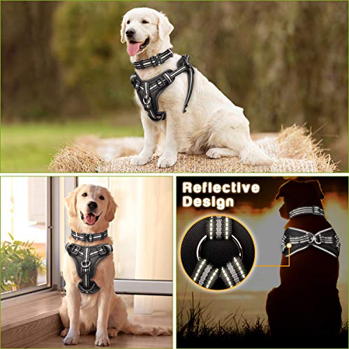 WINSEE No Pull Dog Harness, Step in Dog Harness with a Dog Collar