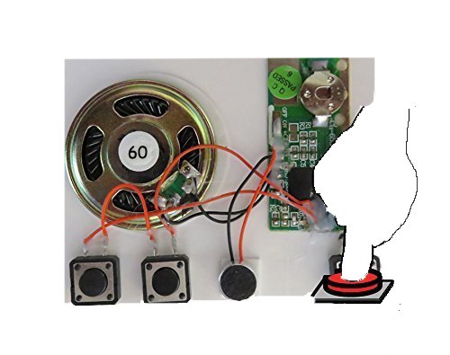 Set of 2 (60 Sec.) High Performance Push Button Sound Chips