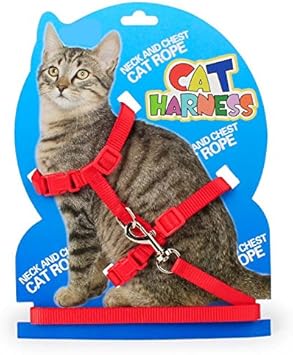 Lion Head Harnais Chat Reglable Sangle En Nylon Collier Avec Laisse Cat H Harnais Laisse Ensemble Pour Petit Chat Et Pet Marche M Rouge Amazon Fr Animalerie