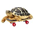 Doblopup Turtle Skateboard for Turtle, Tortoise & Small Animals (1PCS)