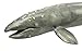 Safari Ltd. Gray Whale Figurine - Lifelike 12.5