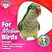 Super Bird Creations SB736 Wiggles and Wafers Bird Toy - Interactive Enrichment for Parrots, Quakers, Caiques, Pionus, Senegals - Wooden, Acrylic Beads, Pacifiers - Medium Bird Size, 3” x 5” x 9”