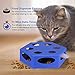 Yzooiyl Cat Toy Electric Upgrade, Interactive Cat Toys for Indoor Cats with Rotating Worm Teaser and Catnip Ball, Automatic Kitten Toy Low Noise
