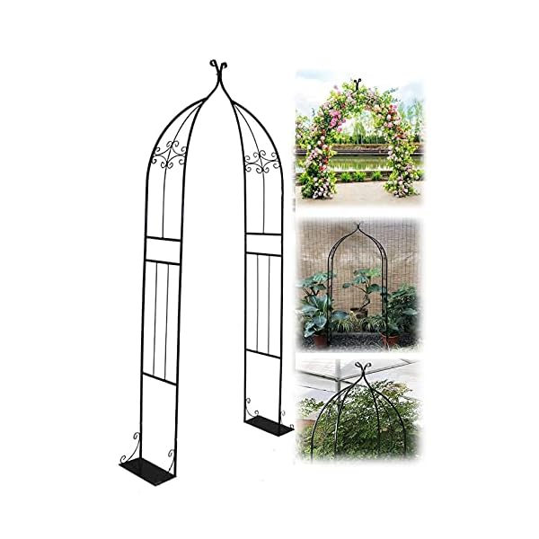 LYBC Metall Rosenbogen B80xH 205cm Rankgitter Torbogen Gartenbogen Rankhilfe Spalier, Für Kletterpflanzen,Hochzeitsbogen…