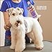 Four Paws Magic Coat Dog Cologne Spray 6 Ounces