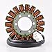 RMSTATOR Replacement for Generator Stator Kawasaki Ninja 250 R 250R 2008-2012 | OEM Repl.# 21003-0074/21003-0114