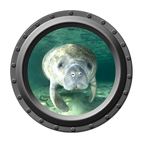 Manatee Wall Art | Manatee Framed Prints, Canvases and Wall Stickers