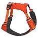 Ruffwear, Hi & Light, Everyday Lightweight Dog Harness, Trail Running, Walking, Hiking, All-Day Wear, Sockeye Red, Medium