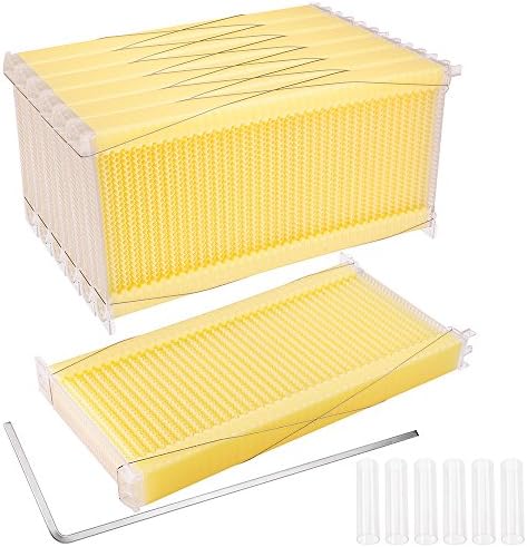 7PCS Automatic Flow Frames Honey Combs Beekeeping Beehive Harvesting PC PP Stainless Steel 304 Food Grade Fit Langstroth Beehive US Delivery