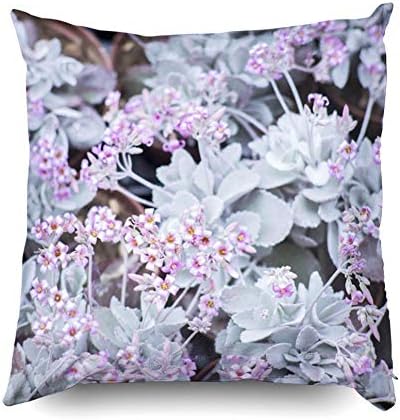 Asdecmoly Summer Decorative Pillowcase Kalanchoe Pumila Flowers Bloom from Nove Cover for Kids Square 18X18 Inchs Home Sofa Bed Travel Gift