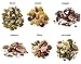 Gorilly Goods Paleo Organic Raw Vegan Trail Mix Individual Snack Packs - VARIETY PACK: Hillside, Coast, Baja, Trail, Jungle & Forest (12 Count - 2 Packs of Each Flavor)
