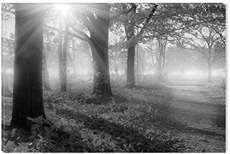 Inspirational Art Black and White Trees and Sunshines Canvas Wall Art Abstract Picture Eco Light Framed Ready to Hang Artwork for Home Decoration
