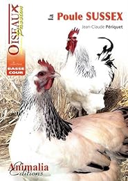 La  poule Sussex