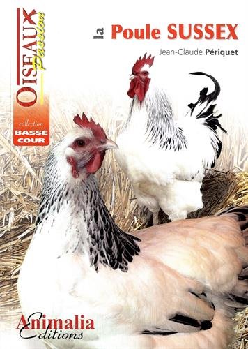 La  poule Sussex