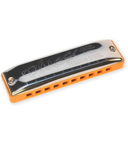 Amazon.com: Seydel 1847 NOBLE Harmonica (Key of A) : Musical