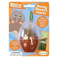 Dunecraft Dusty Desert Cacti Science Kit