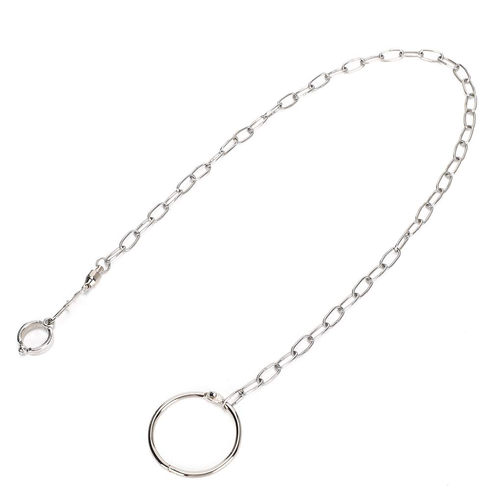 Bird Foot Chain Flying Stainless Steel Training Rope Outdoor Parrot Ankle Foot Ring Accessories Bird Harness Leash Prevent Escaping