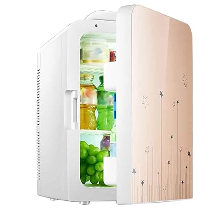 Nevera Neveras Congelador Refrigerador Coche refrigerado de 20 ...