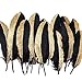 BABEYOND 42 Pcs Gold Dipped Feather Goose Feather Natural Craft DIY Decoration Feather for Party Decoration Wedding Dress Up Room Decoration (Black & Gold) primary