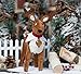 Elf Pets: A Reindeer Tradition with Cuddly Reindeer and Polar Pattern Reversible Saddle Blanket and Socks