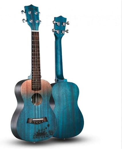 Instrumento musical de cuatro cuerdas mas pequeã±o que la guitarra | Las  mejores guitarras