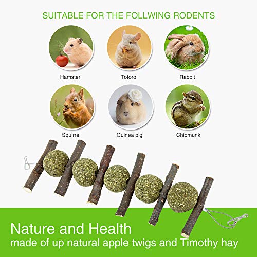 2 PETLAOO+Bunny+Improve+Dental+Health