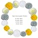 Yellow and Grey Wedding Decorations Tissue Paper Flowers Pom Poms Balls for Bridal Shower Bachelorette Anniversary Baby Girl Boy Birthday Theme Party Supplies Set (Yellow, Grey, Ivory, White)
